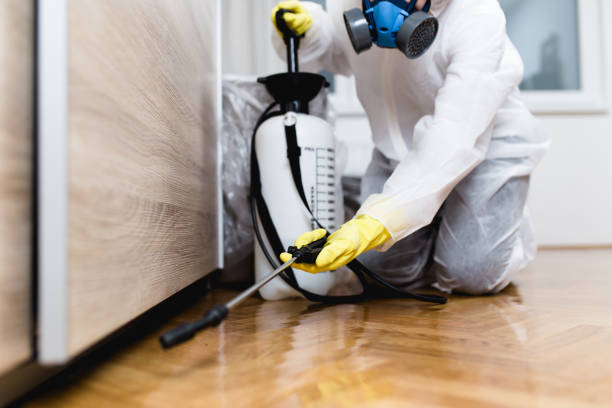 Professional Pest Control in Lapel, IN