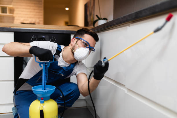 Flea Control Services in Lapel, IN