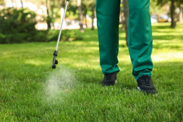 Best Flea Control Services  in Lapel, IN