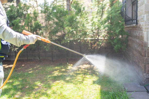 Trusted Lapel, IN Pest Control Experts