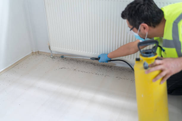 Trusted Lapel, IN Pest Control Experts